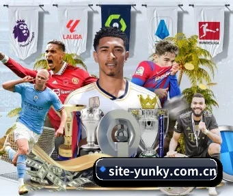 site-yunky.com.cn APP（yunsports）